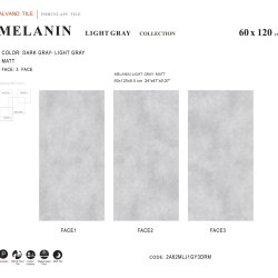 Melanin Light Gray
